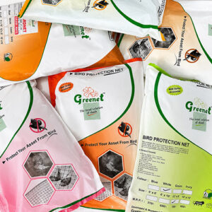 Greenet-BirdNet