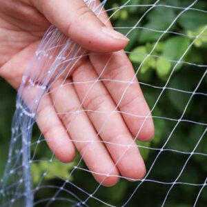 transparent-bird-net
